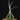 Tillandsia duratii