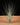 Tillandsia juncea (Syn. juncifolia)