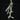 Tillandsia tricholepis