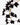 Fredclarkeara After Dark 'SVO Black Pearl' FCC/AOS