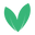 Jungle Leaves logo