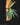 Ornithocephalus cochleariformis