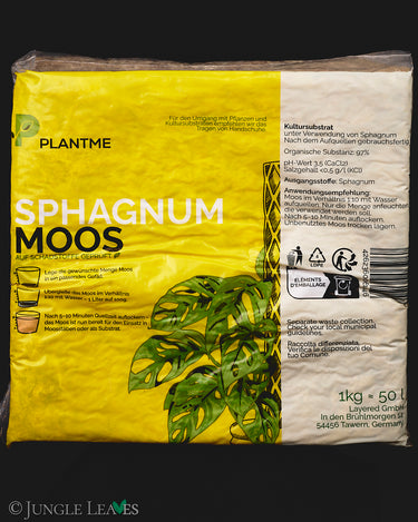 Sphagnum-Moos aus Chile