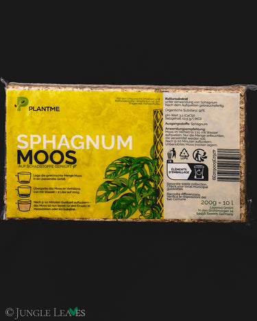 Sphagnum-Moos aus Chile