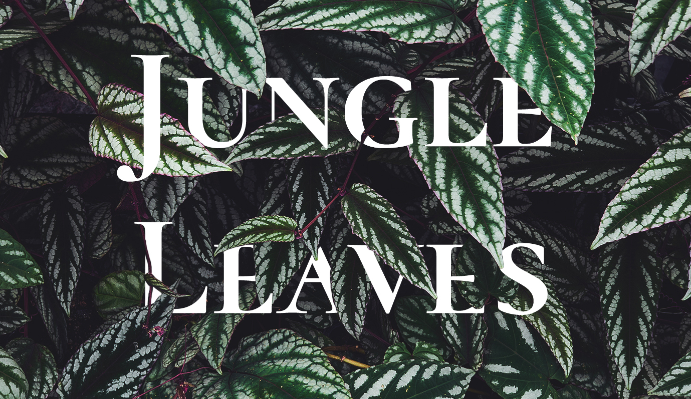 Jungle Leaves Banner
